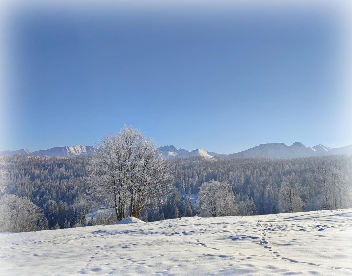 Willa Juna Tatry Nowe Bystre ภายนอก รูปภาพ